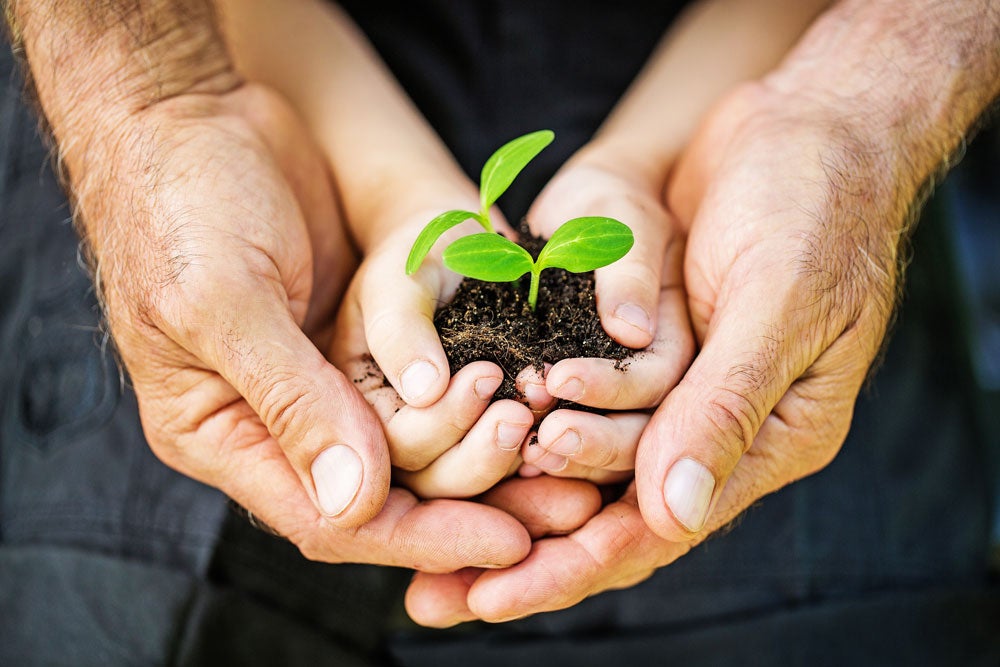 Child, Human Hand, Growth.