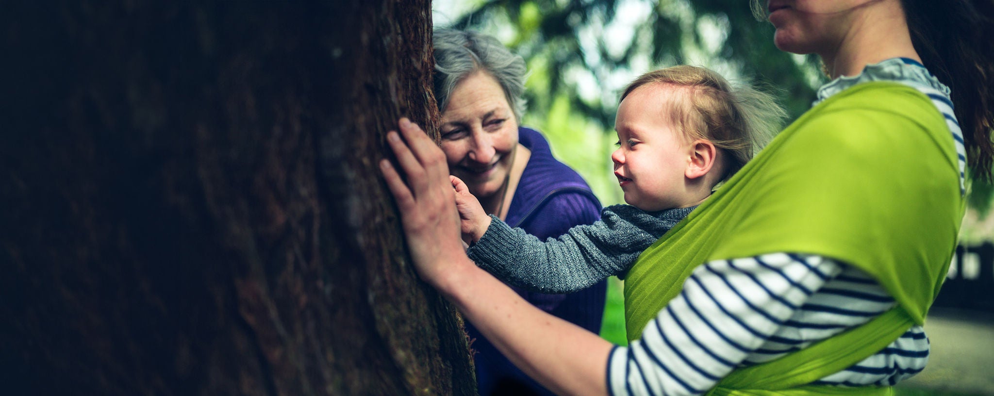 Family touching tree