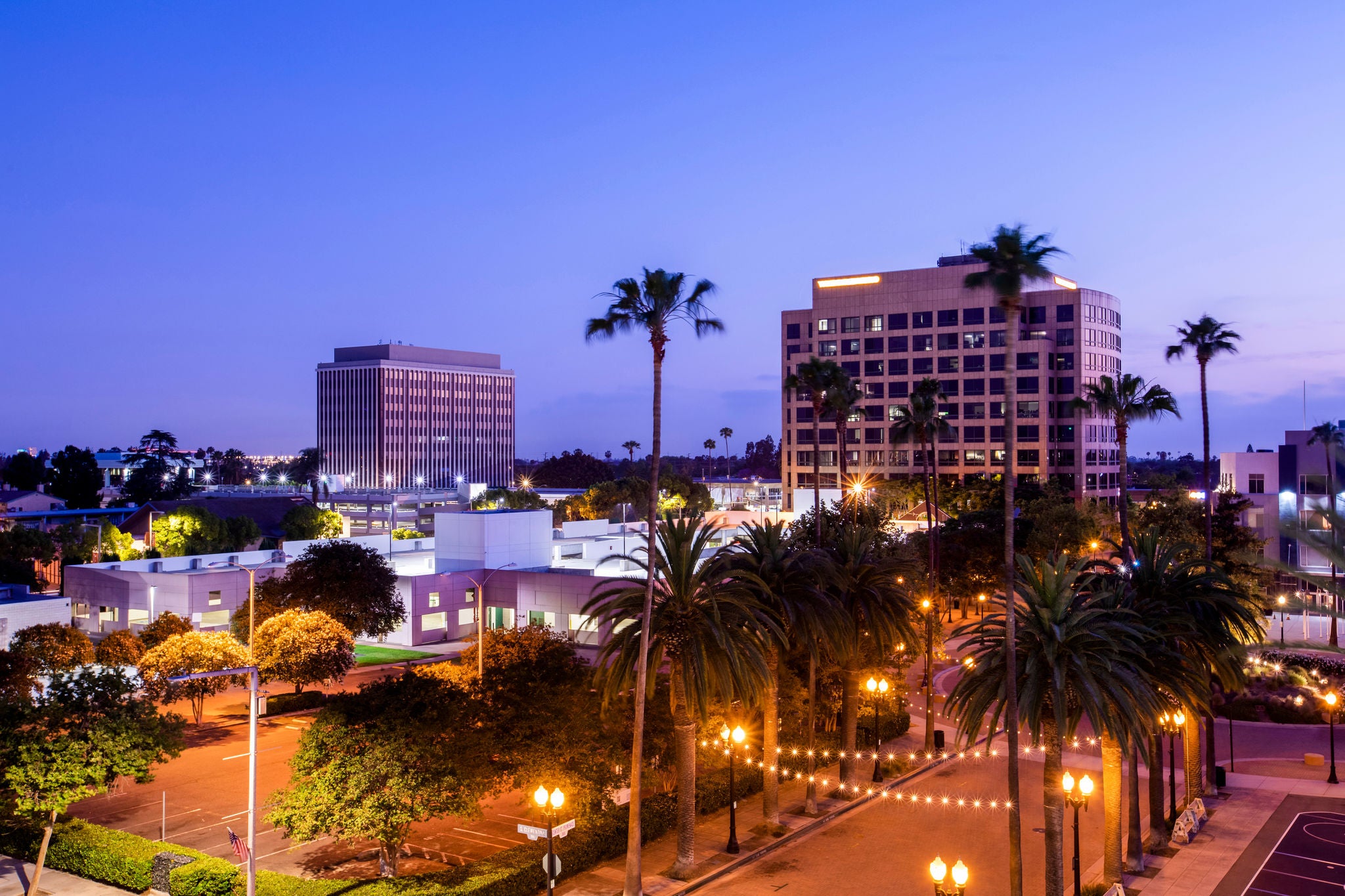 Twilight palm tree framing the skyline of downtown Anaheim, California, USA., Twilight palm tree framing the skyline of downtown Anaheim, Cali