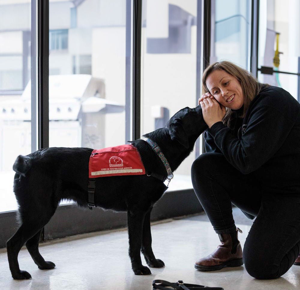 Dog Guide trainer listening to a dog 