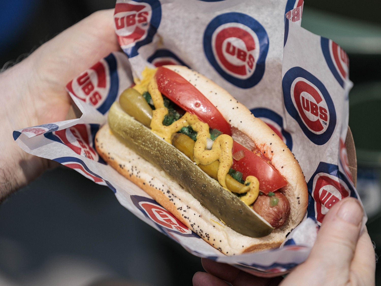 Chicago dog at a Cubs baseball game.